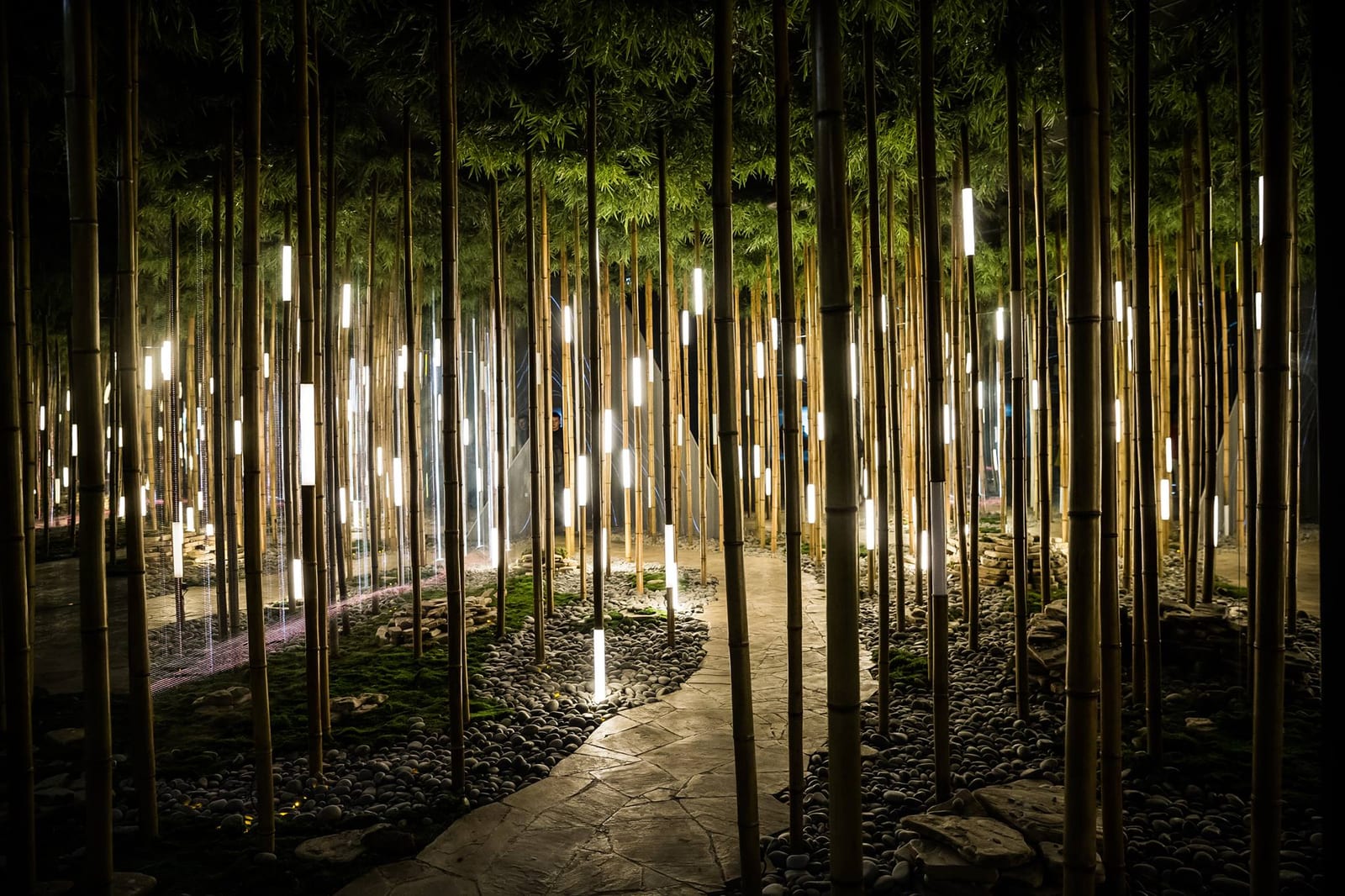 Bamboo Grove for Lexus