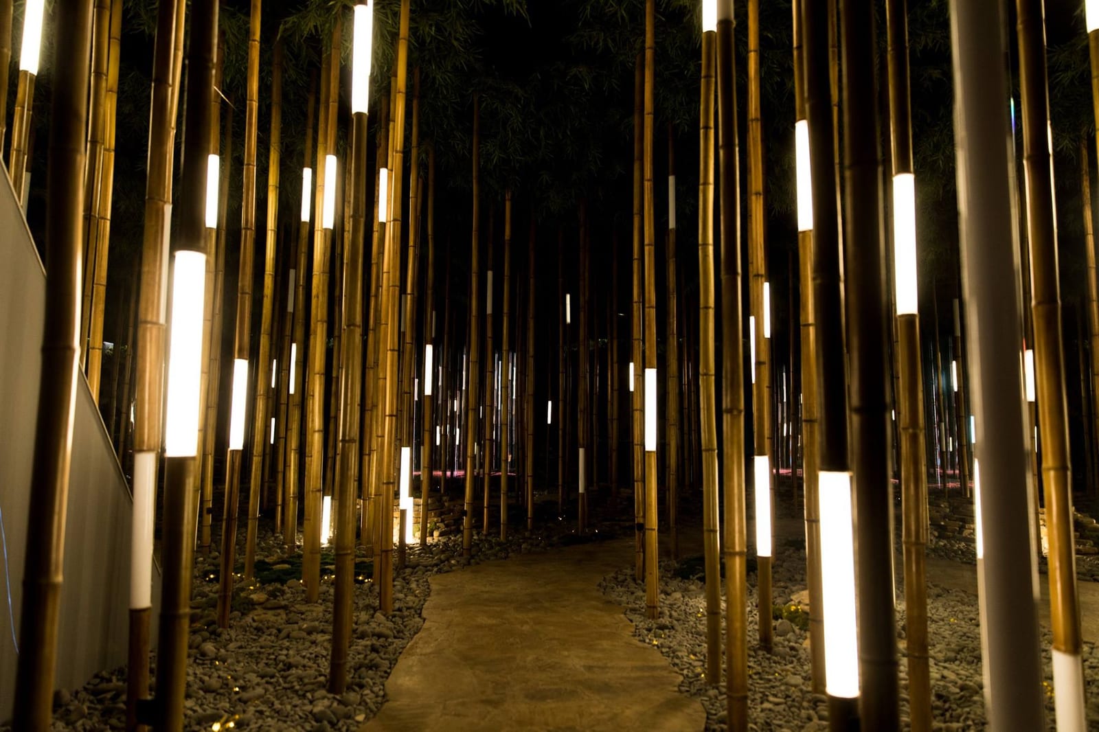 Bamboo Grove for Lexus — 1