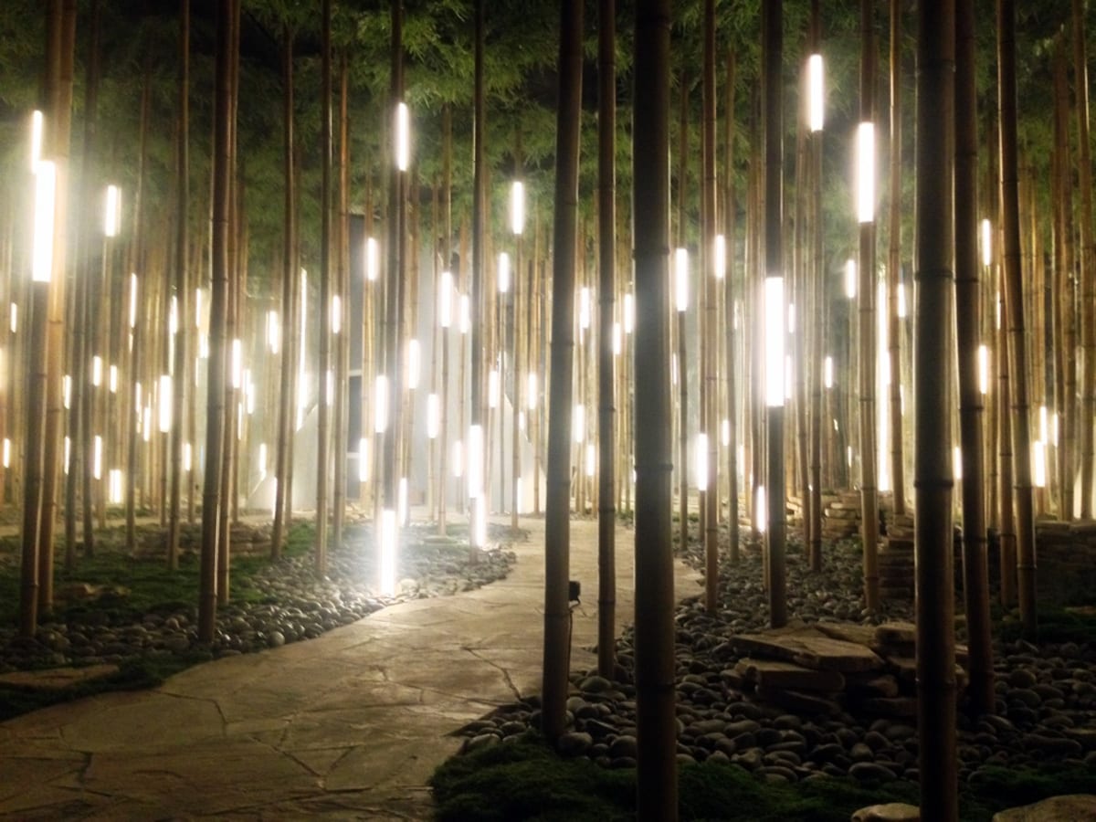 Bamboo Grove for Lexus — 2