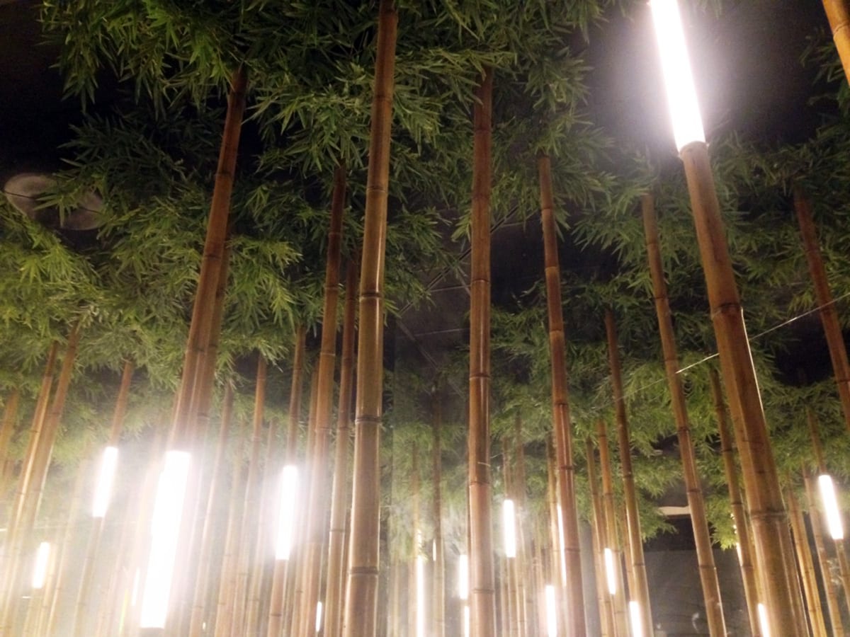 Bamboo Grove for Lexus — 7