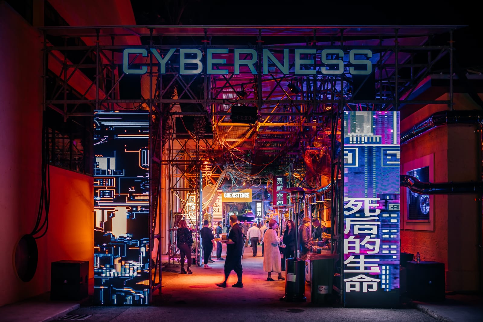 CYBERNESS MARKET