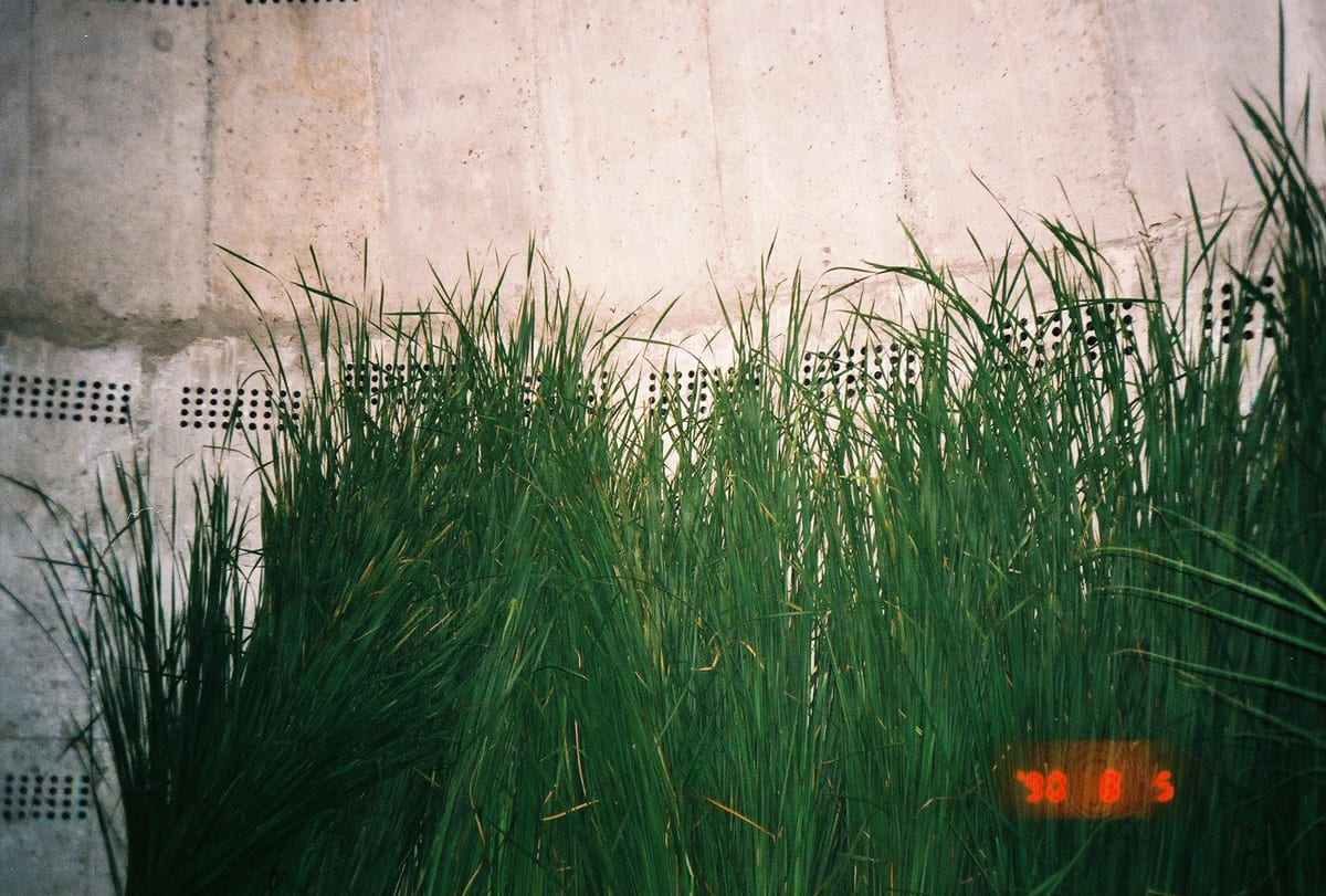 Garden Stage — 13