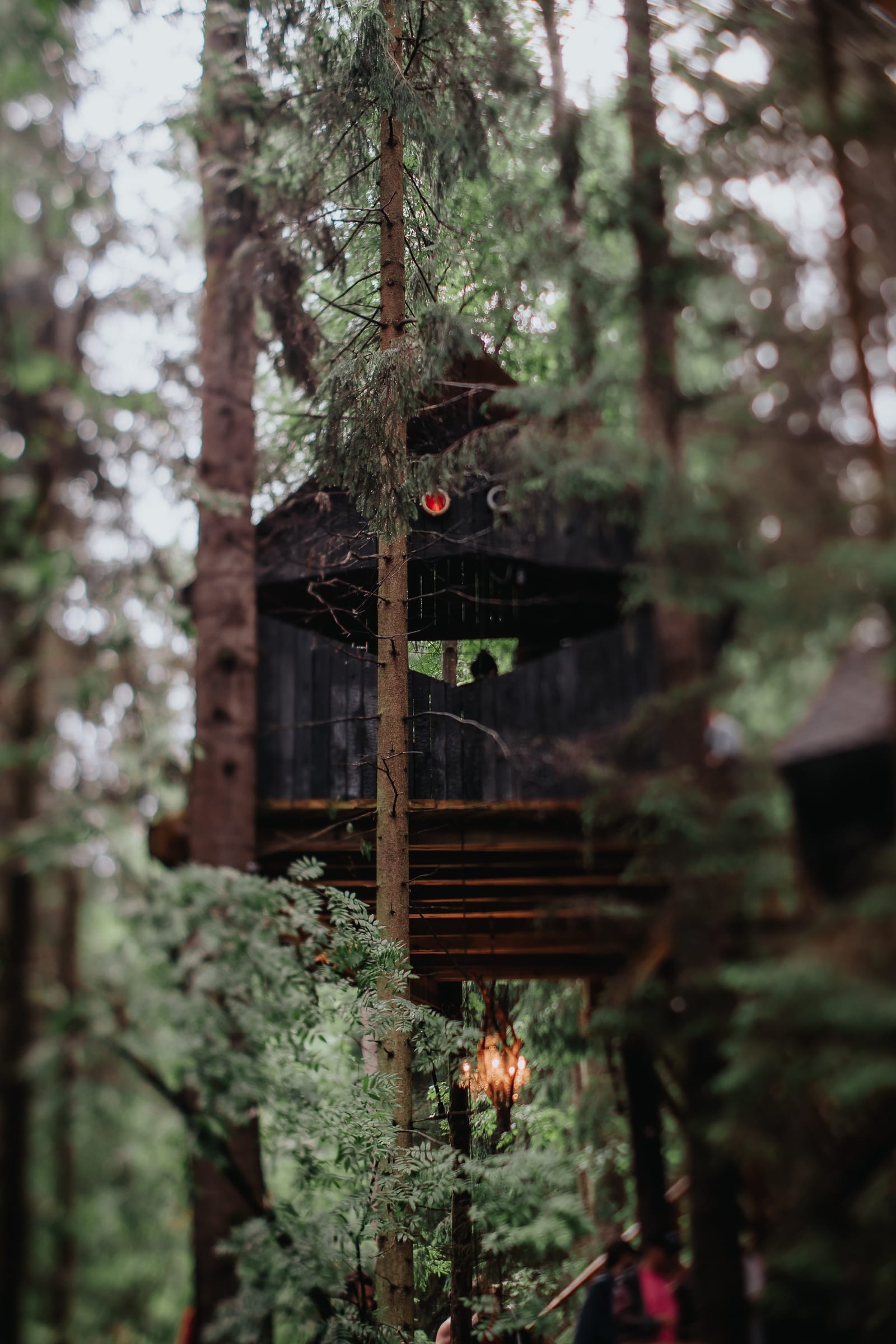 WOODZ, OUTLINE — 38
