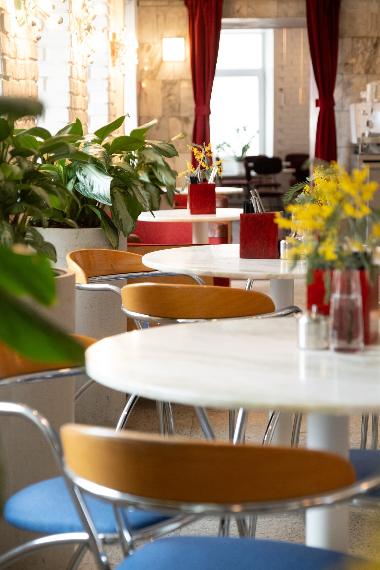 YULA PIZZA — 3